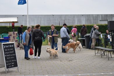 DSC_0540 (3)