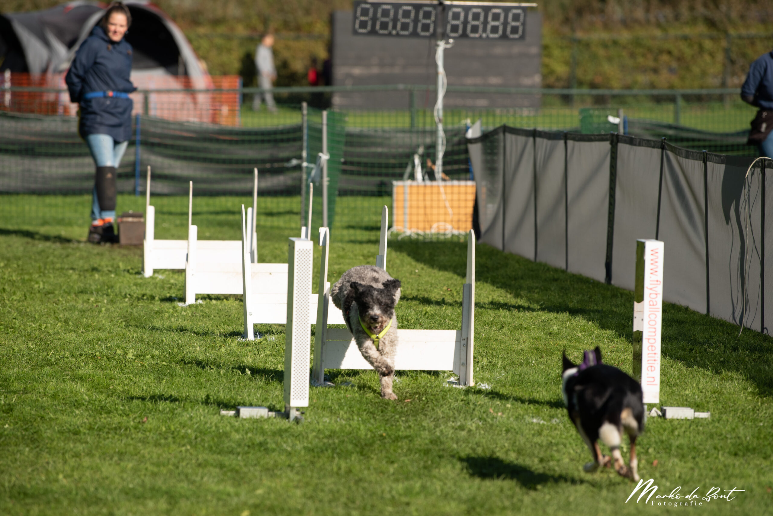 Flyball toernooi 09-10-2022-5462
